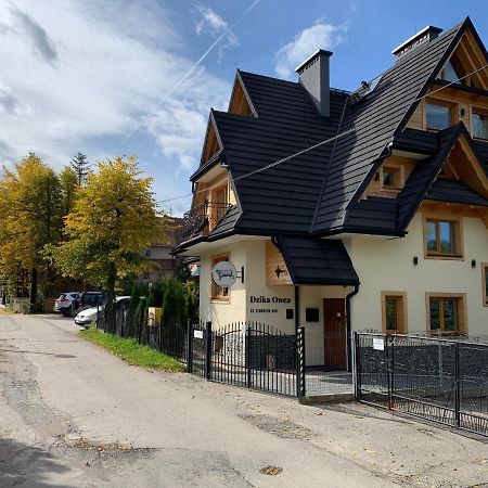 Dzika Owca Lejlighed Zakopane Eksteriør billede