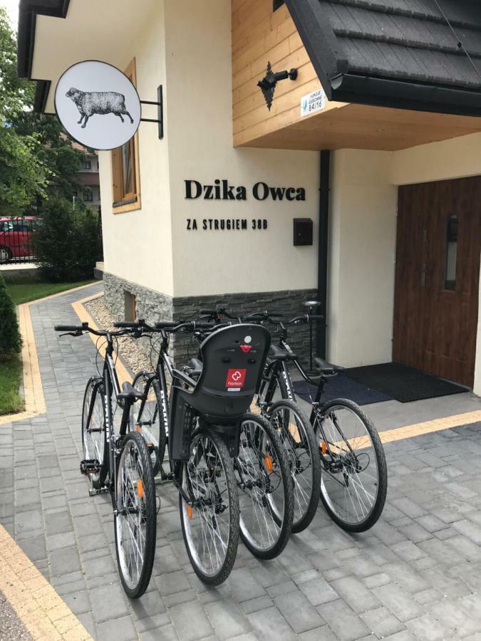 Dzika Owca Lejlighed Zakopane Eksteriør billede